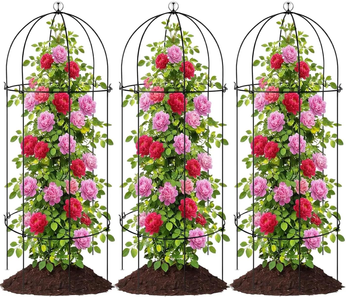 Geelin 3 Pieces Metal Plant Cage Support 31.5 Inch Large Sturdy Bird Cage Plant Support Through Metal Flower Trellis Garden Decor for Outdoor Yard Peonies Baptisia Sedum Rose Tomato