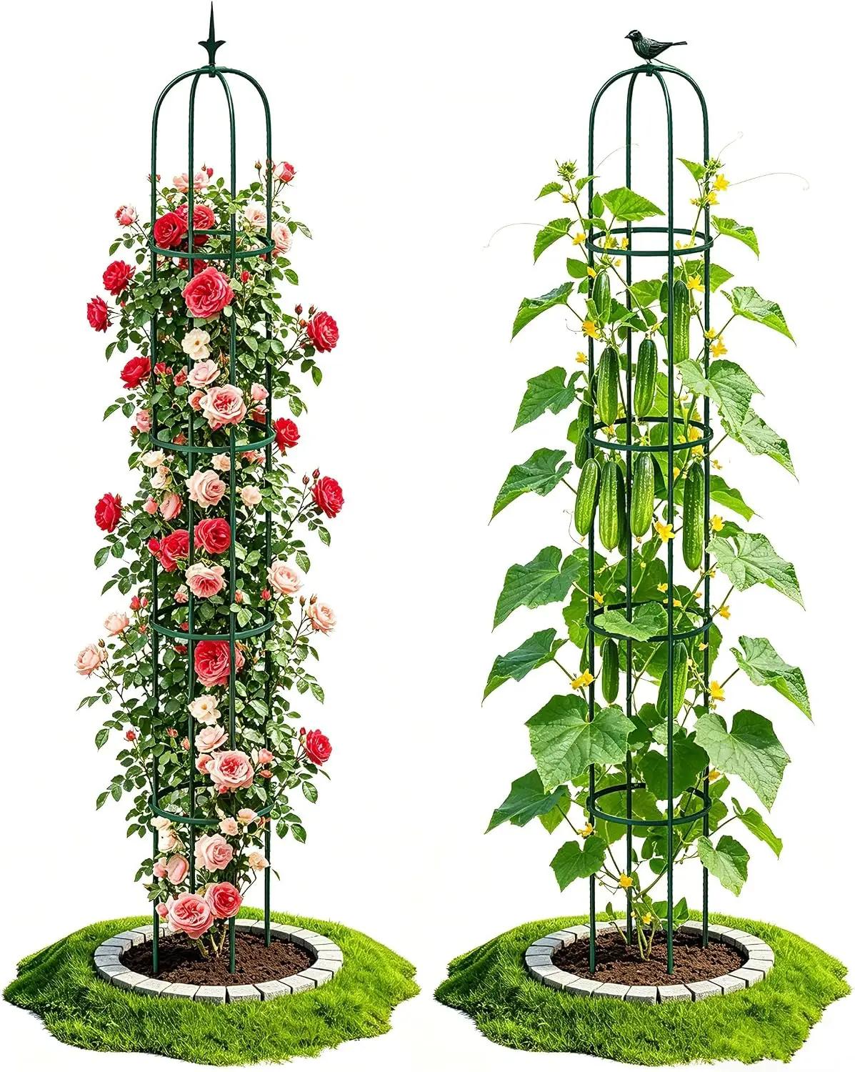 2PCS Garden Trellis for Climbing Plants, 6.2FT Rustproof Metal Pipe with Heavy Duty Plastic Coated, Garden Outdoor Indoor Potted Plant Support, Obelisk Garden Trellis for Climbing Vine (Green)