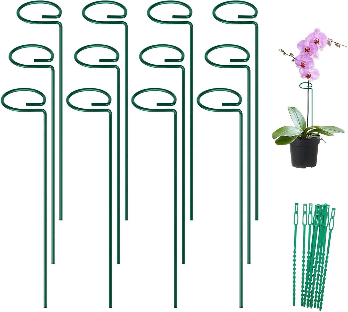 FEED GARDEN 16 Inch 12 Pack Plant Support Stakes, Metal Garden Flower Stakes and Supports for Outdoor Plants, Plant Stem Support with 24 Twist Ties for Amaryllis Lily Rose Peony Tomatoes Gladiolus