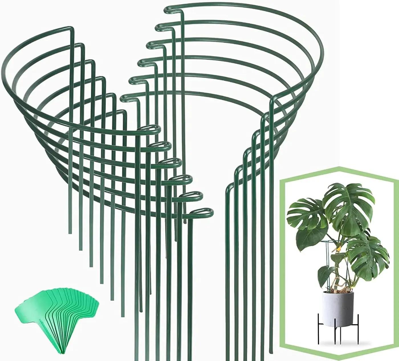 Joyhalo 12 Pack Plant Support Stakes, 16 Inch Plant Stakes for Outdoor Plants, Peony Cages and Supports, Peony Cage with 15 Pcs Twist Ties, Flower Stakes Peonies Support Cages for Plants