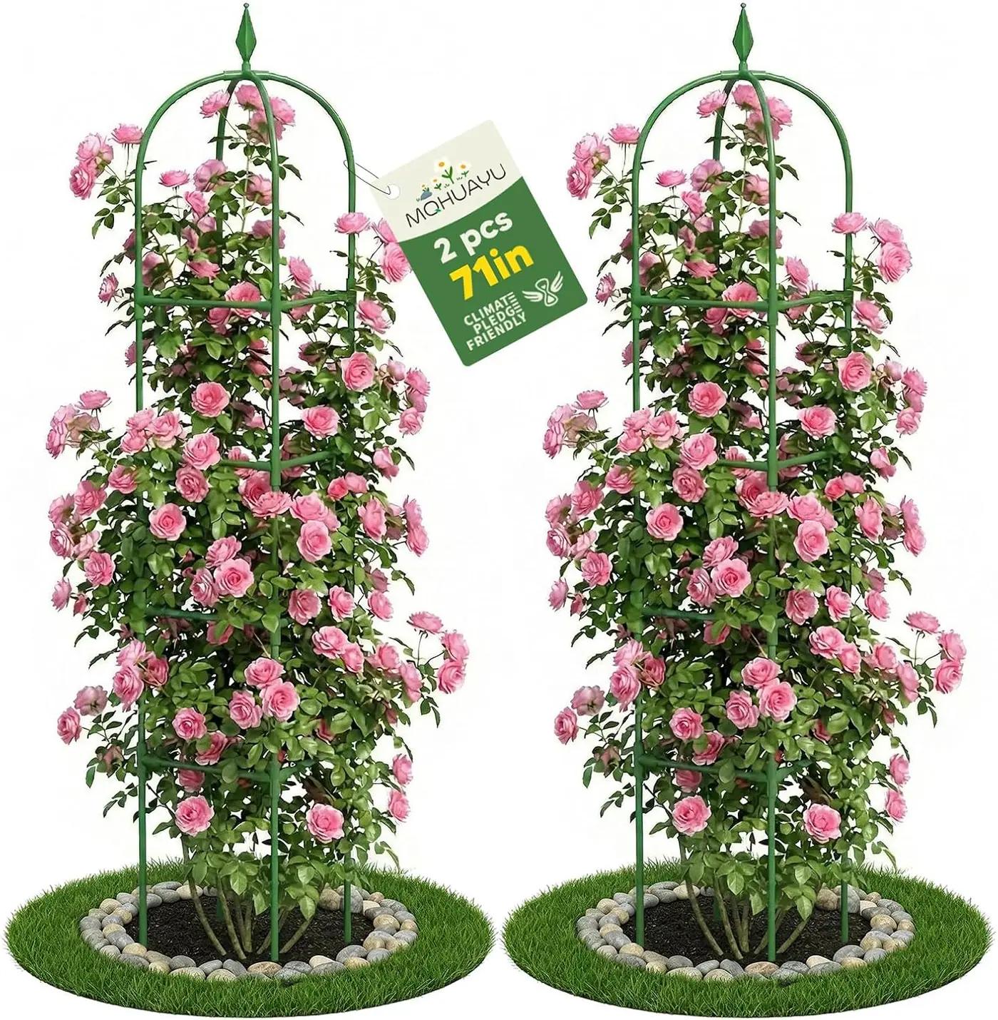 2 Pack Garden Obelisk Trellis for Climbing Plants, 6 FT Metal Rustproof Plant Support Rose Trellis, Tower Potted Cages for Flowers Fruits Vegetable Vines Indoor &amp; Outdoor, Green(4 Tiers) Global Recycled Standard