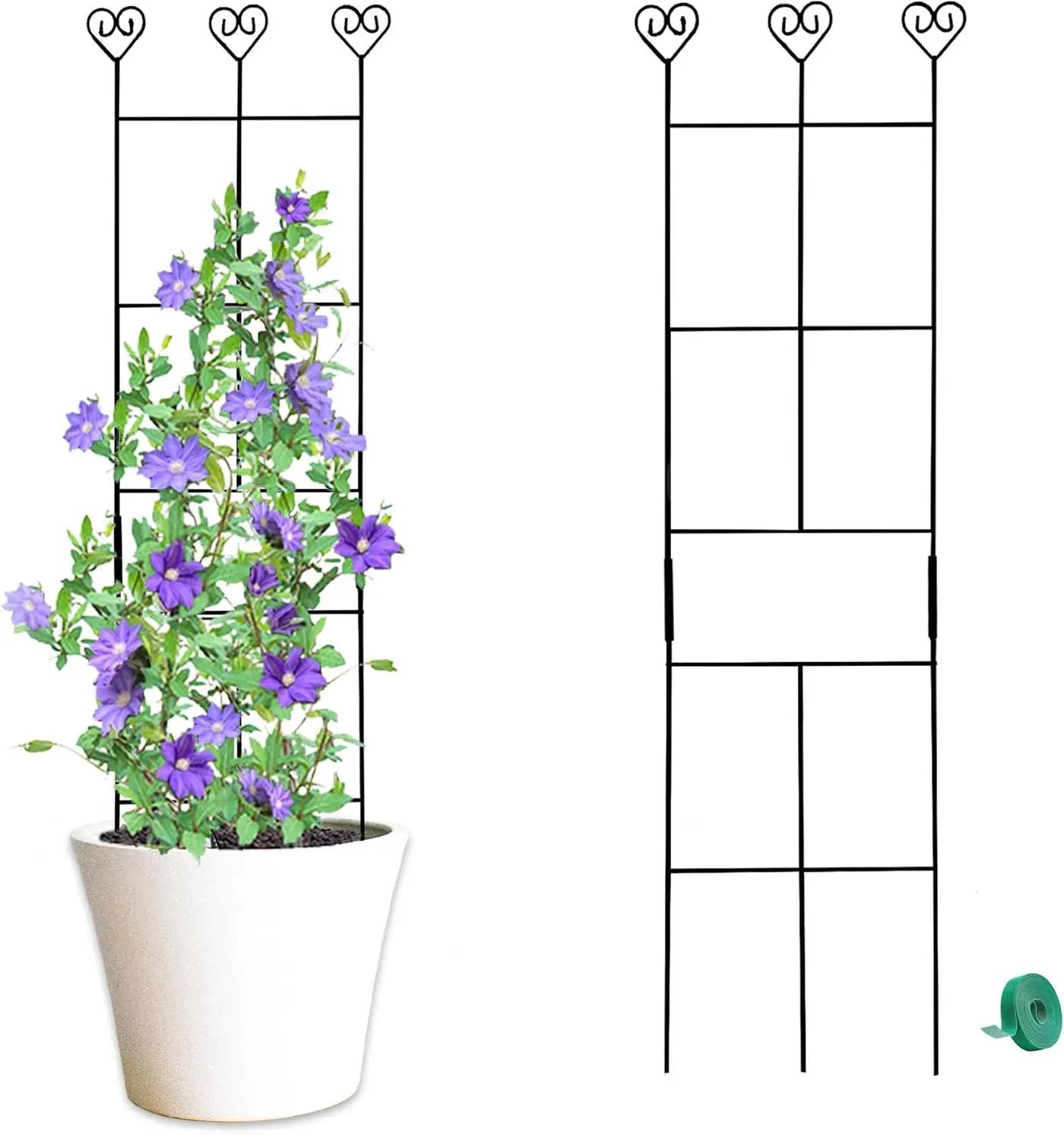 2 Pack 30'' Plant Trellis for Climbing Plants Indoors, Metal Garden Trellis for Potted Houseplant, Rustproof Plant Support for Ivy, Vines, Pothos, Hoya and Flower, Black